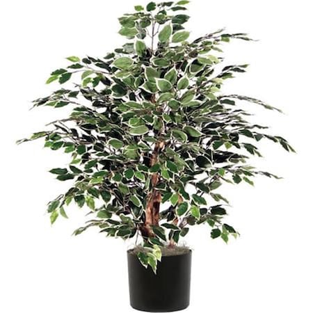 Vickerman 4 ft. Green Mini Ficus Extra Full in Plastic Pot TXX4240